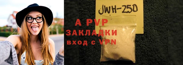 СК Алексин