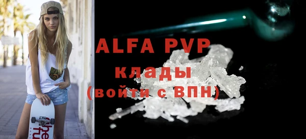 СК Алексин