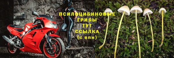 СК Алексин