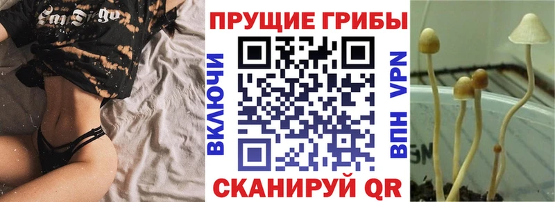 Галлюциногенные грибы MAGIC MUSHROOMS  Бежецк 